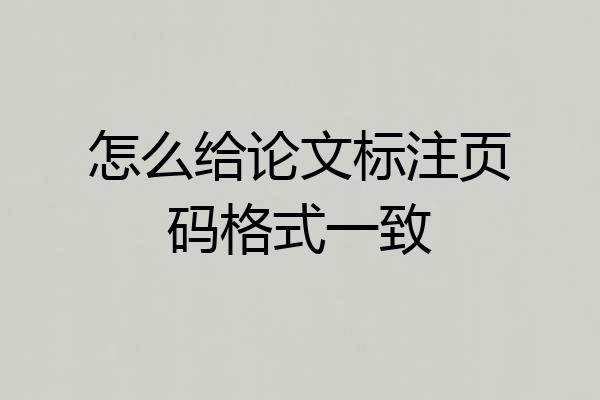 怎么给论文标注页码格式一致