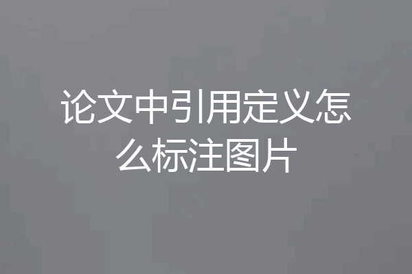 论文中引用定义怎么标注图片