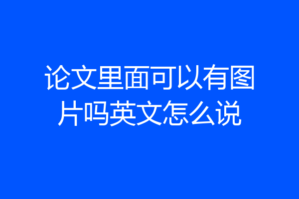 论文里面可以有图片吗英文怎么说