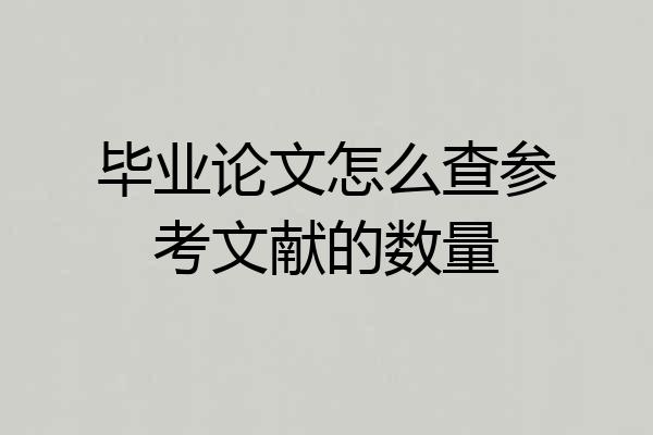 毕业论文怎么查参考文献的数量