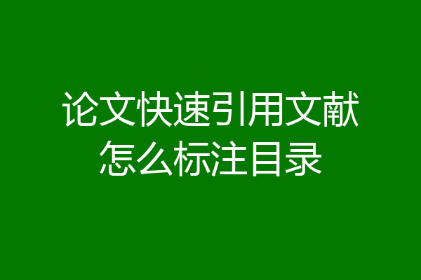 论文快速引用文献怎么标注目录