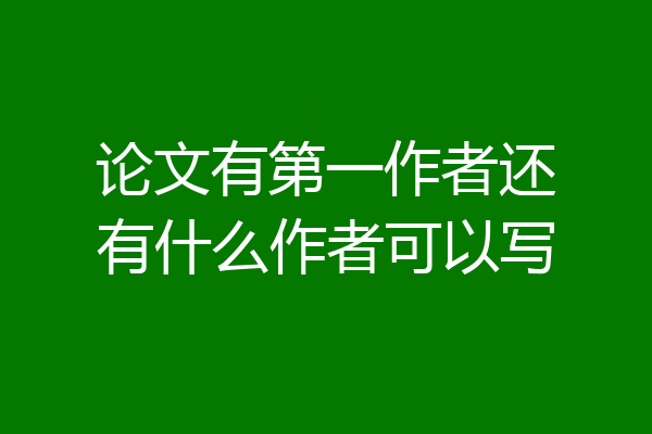 论文有第一作者还有什么作者可以写