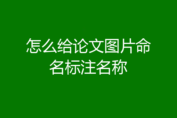 怎么给论文图片命名标注名称