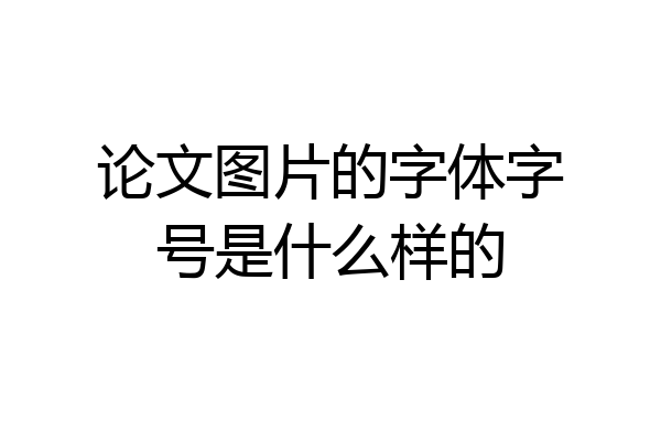论文图片的字体字号是什么样的