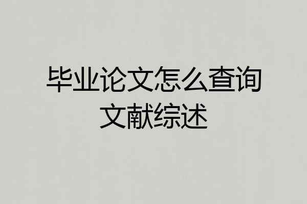 毕业论文怎么查询文献综述