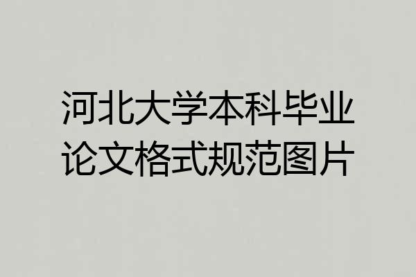 河北大学本科毕业论文格式规范图片