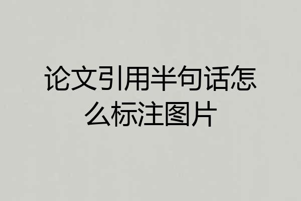 论文引用半句话怎么标注图片