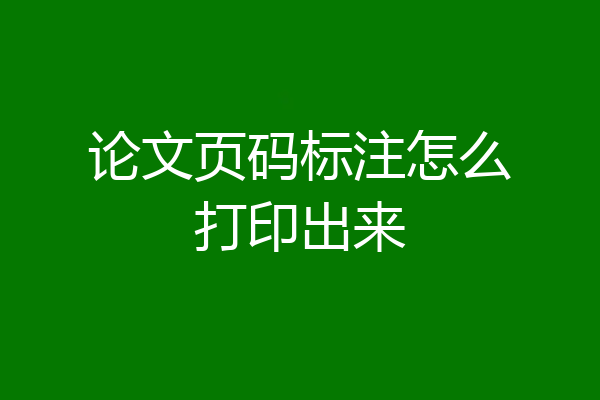 论文页码标注怎么打印出来