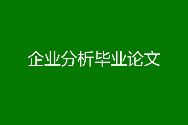 企业分析毕业论文