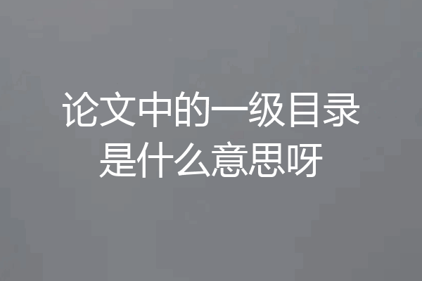 论文中的一级目录是什么意思呀
