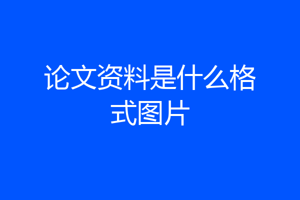 论文资料是什么格式图片