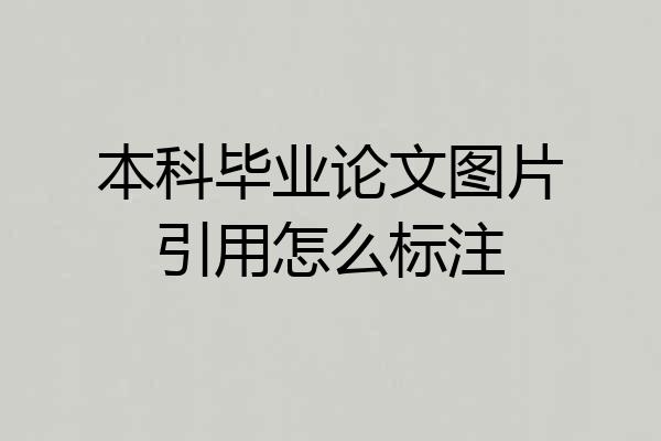 本科毕业论文图片引用怎么标注