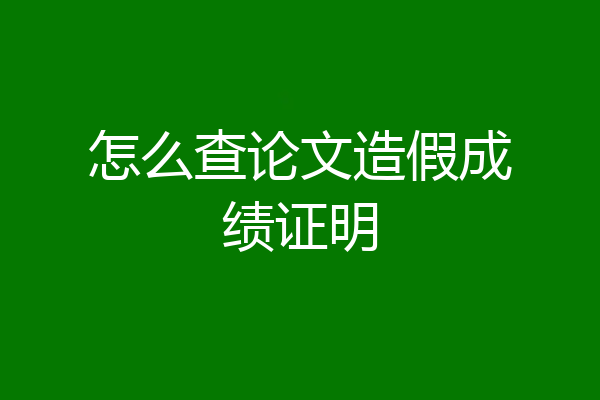 怎么查论文造假成绩证明