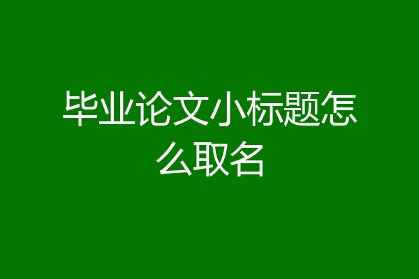 毕业论文小标题怎么取名
