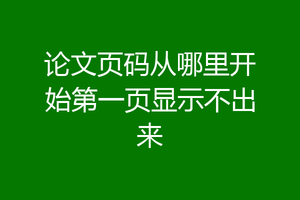 论文页码从哪里开始第一页显示不出来