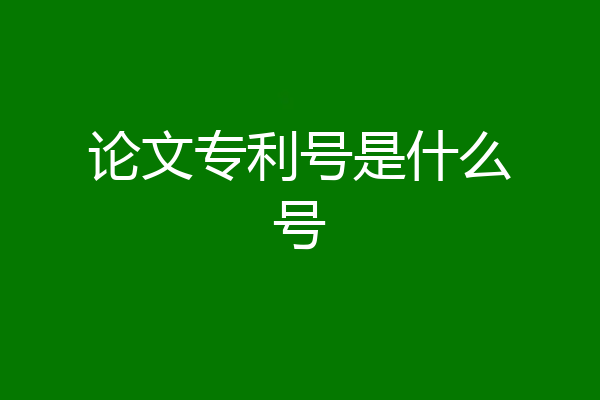 论文专利号是什么号