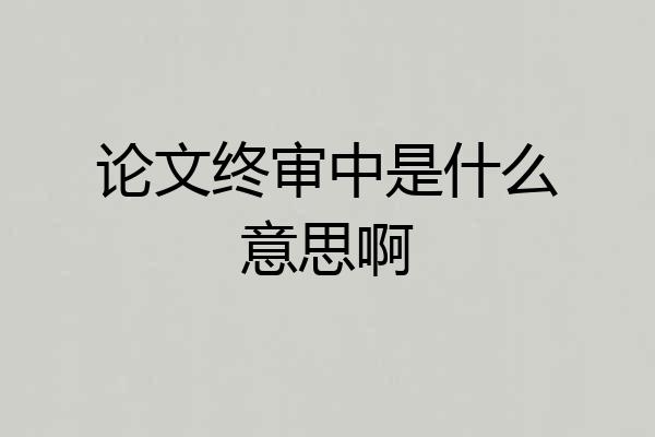 论文终审中是什么意思啊