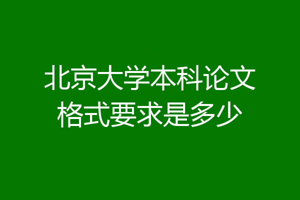北京大学本科论文格式要求是多少