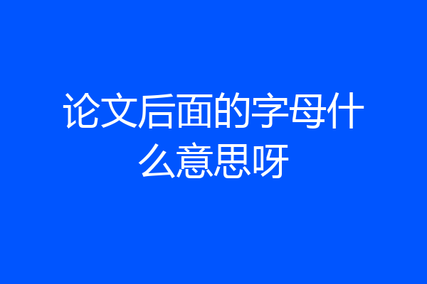 论文后面的字母什么意思呀