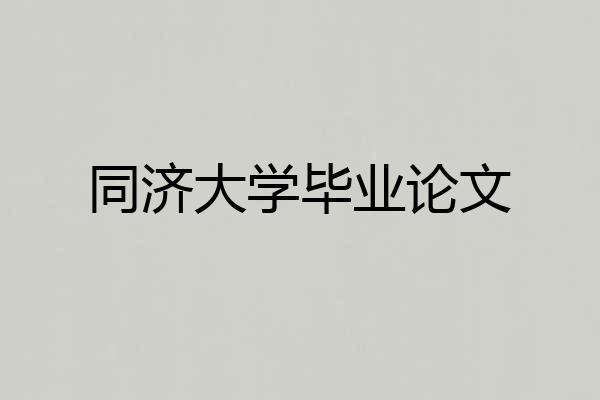 同济大学毕业论文