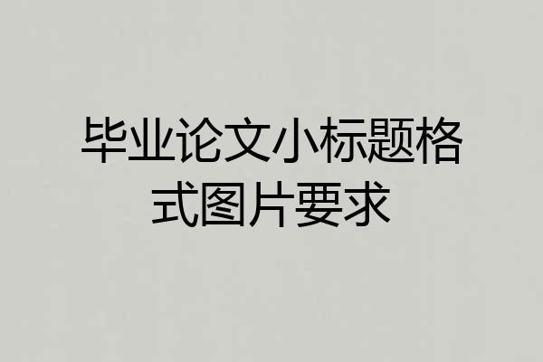 毕业论文小标题格式图片要求