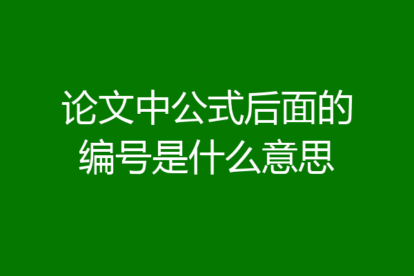 论文中公式后面的编号是什么意思