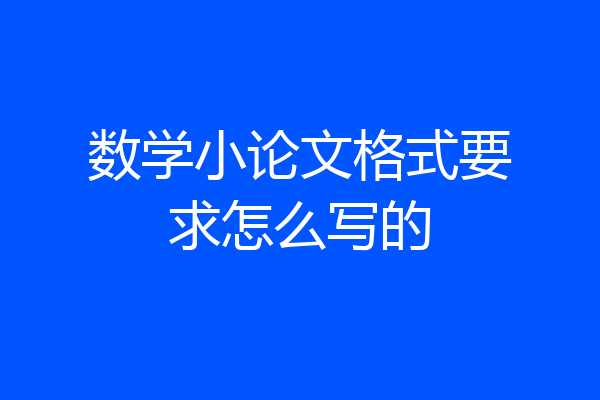 数学小论文格式要求怎么写的