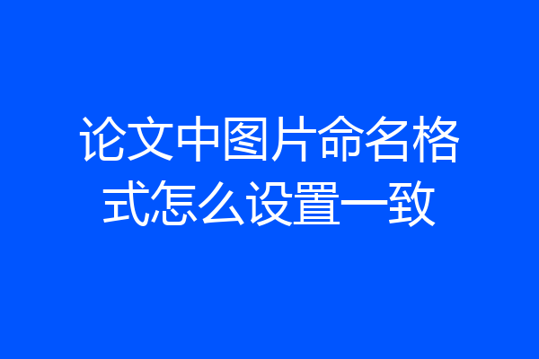 论文中图片命名格式怎么设置一致