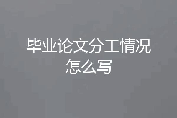毕业论文分工情况怎么写