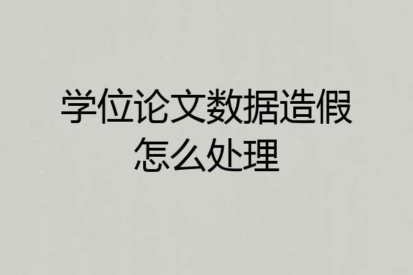 学位论文数据造假怎么处理