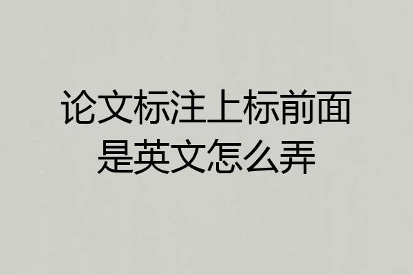 论文标注上标前面是英文怎么弄