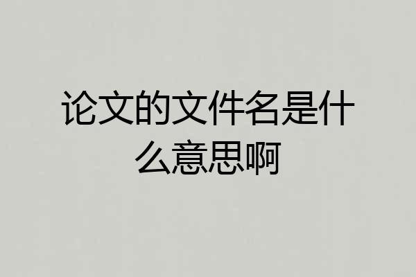 论文的文件名是什么意思啊