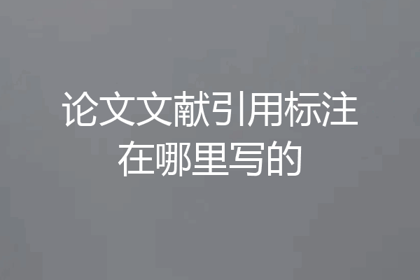 论文文献引用标注在哪里写的