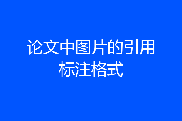 论文中图片的引用标注格式