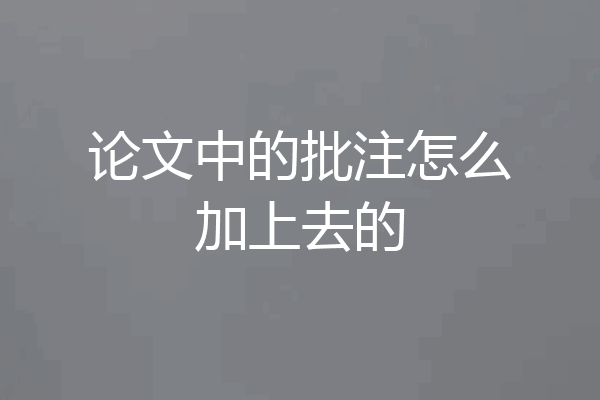 论文中的批注怎么加上去的