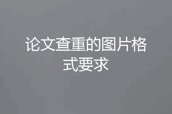 论文查重的图片格式要求
