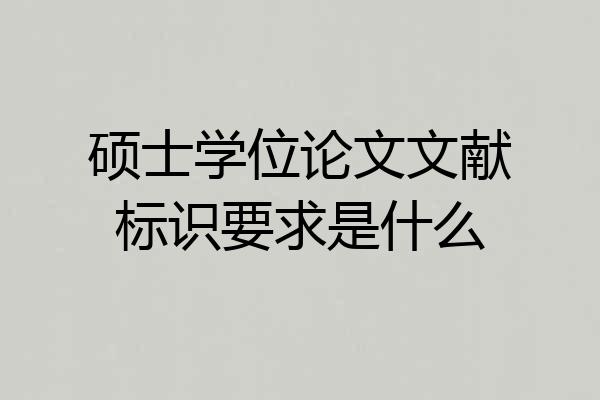 硕士学位论文文献标识要求是什么