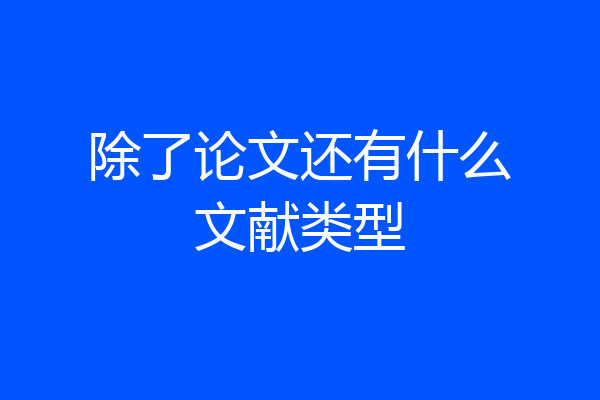 除了论文还有什么文献类型