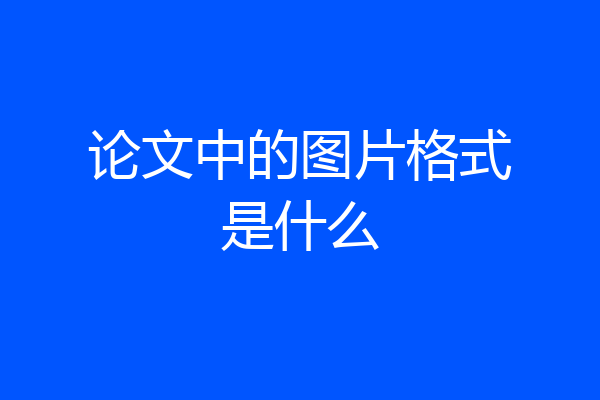 论文中的图片格式是什么