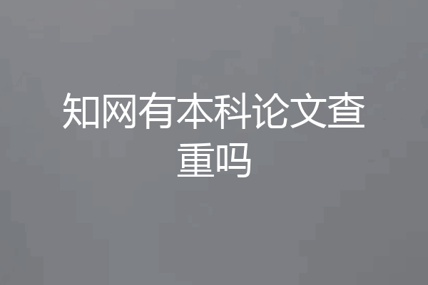 知网有本科论文查重吗