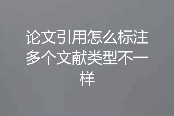 论文引用怎么标注多个文献类型不一样