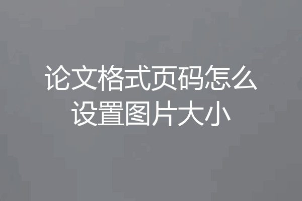 论文格式页码怎么设置图片大小