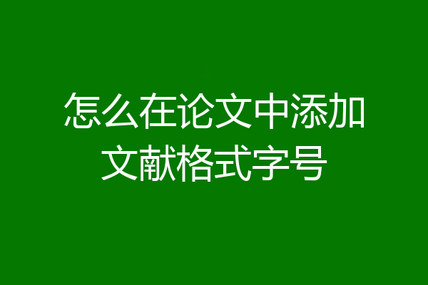 怎么在论文中添加文献格式字号