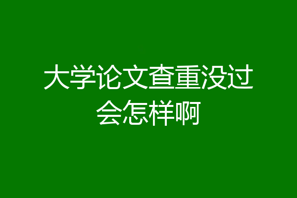 大学论文查重没过会怎样啊