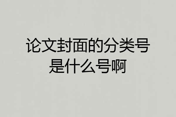 论文封面的分类号是什么号啊