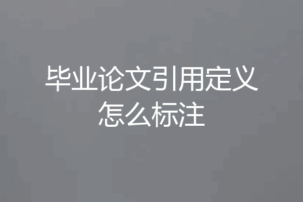 毕业论文引用定义怎么标注