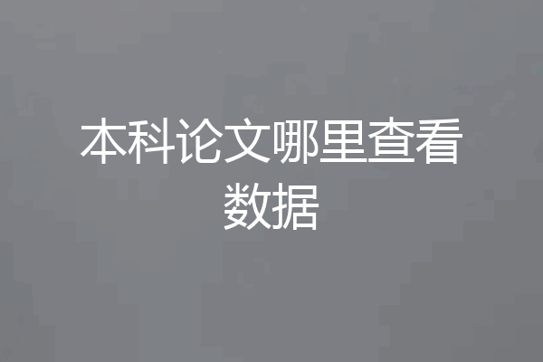 本科论文哪里查看数据
