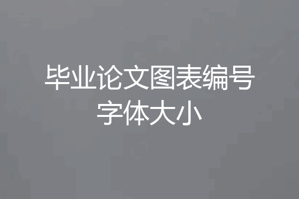 毕业论文图表编号字体大小