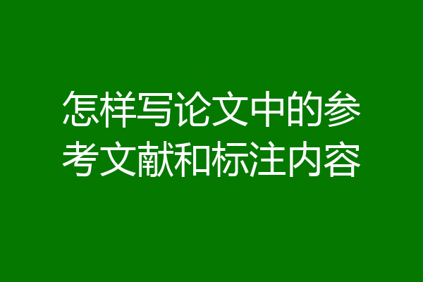怎样写论文中的参考文献和标注内容