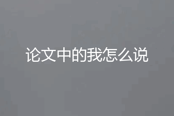论文中的我怎么说